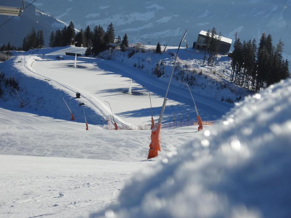 Pension Alpenrose ツェル アム ゼー エクステリア 写真