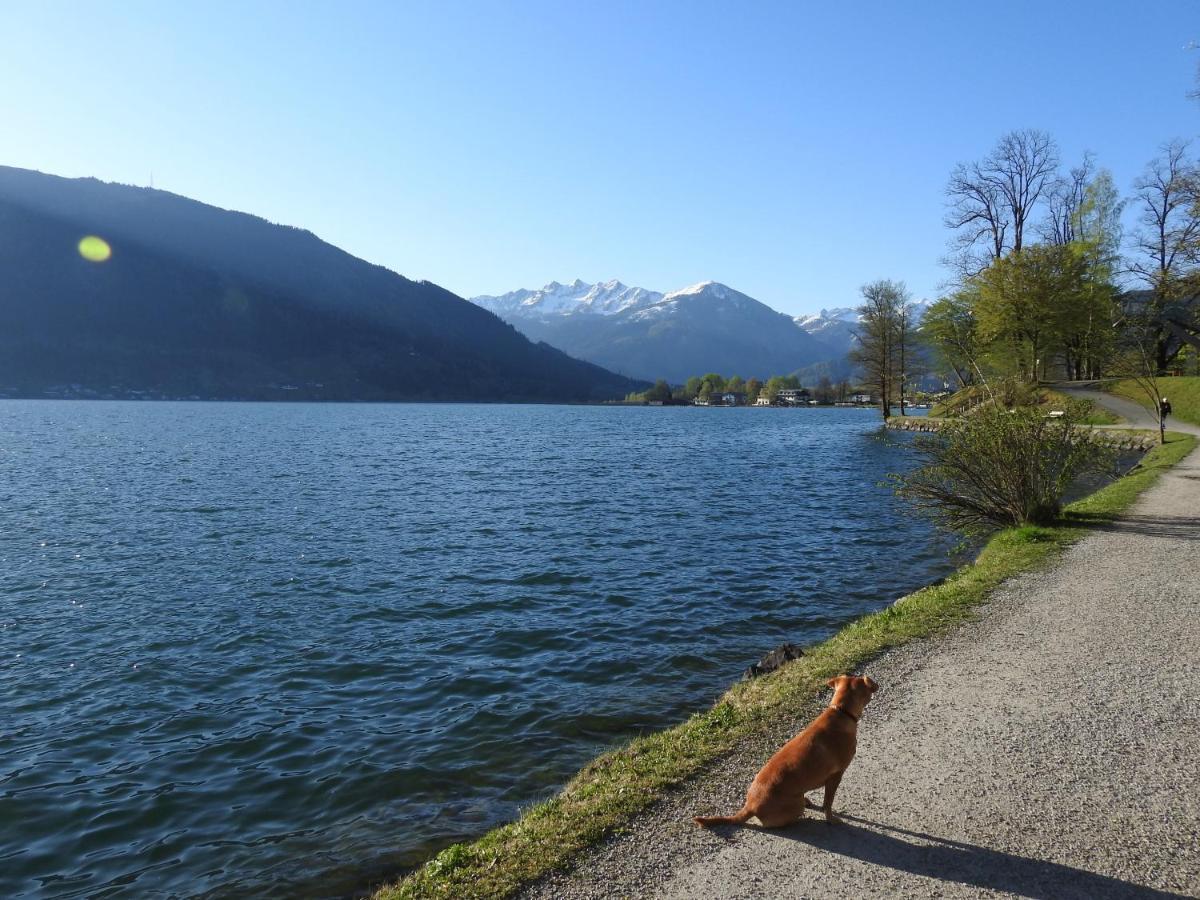 Pension Alpenrose ツェル アム ゼー エクステリア 写真