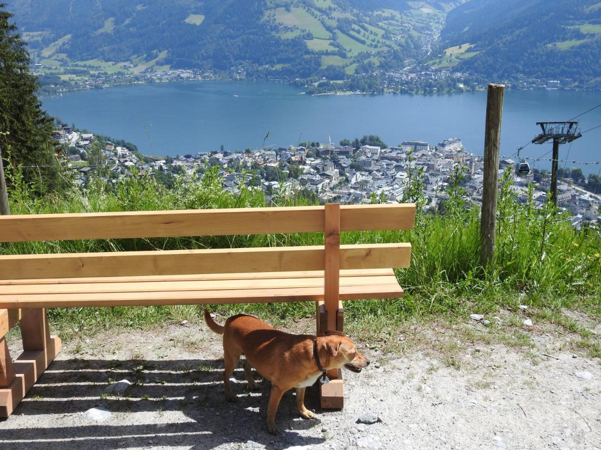 Pension Alpenrose ツェル アム ゼー エクステリア 写真