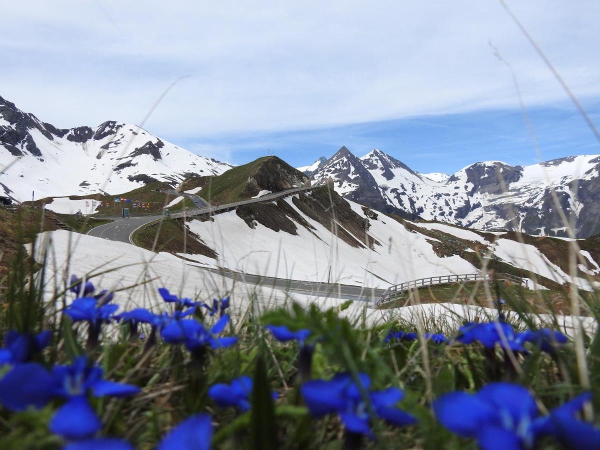 Pension Alpenrose ツェル アム ゼー エクステリア 写真