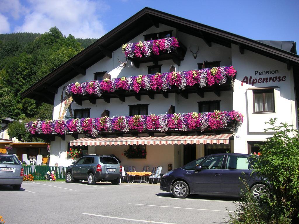 Pension Alpenrose ツェル アム ゼー エクステリア 写真