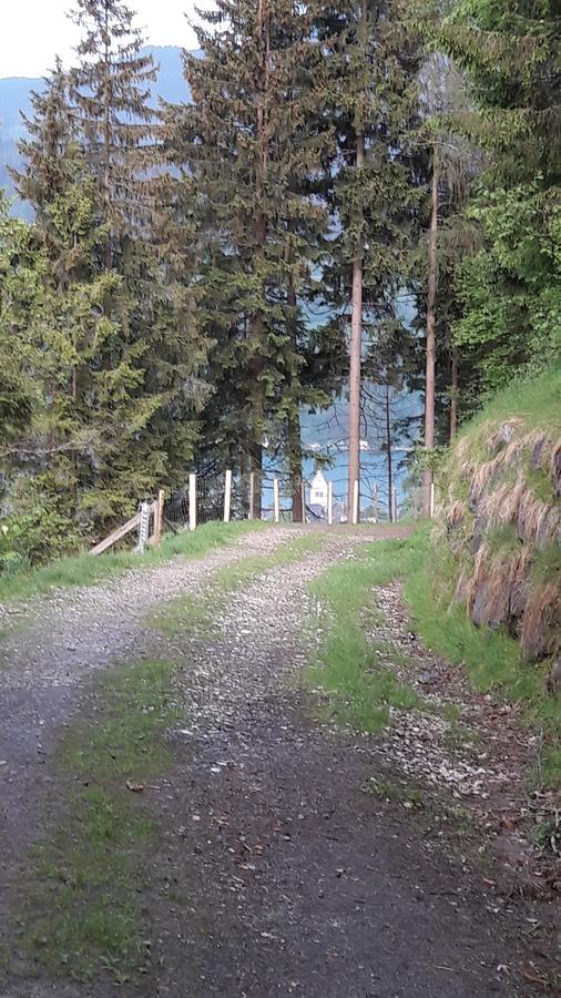 Pension Alpenrose ツェル アム ゼー エクステリア 写真